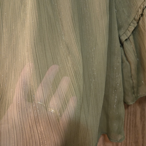 Beautiful sheer green top with gold metallic threads and 3/4 sleeves. - Picture 3 of 7